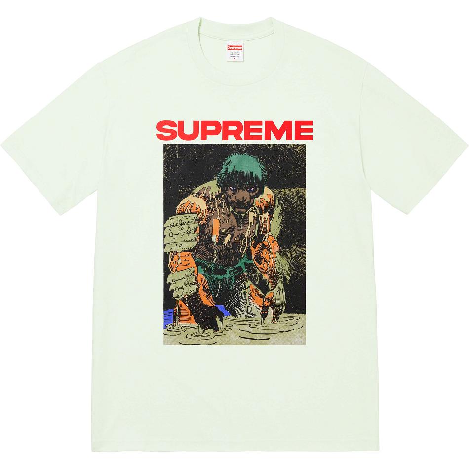 Supreme Ronin Tee T-shirts Mintfarben | DE238KI