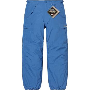 Supreme GORE-TEX PACLITE® Cargo Pant Hose Blau | DE411OR