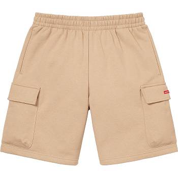 Supreme Small Box Baggy Cargo Sweat Kurze Hose Braun | DE366HK